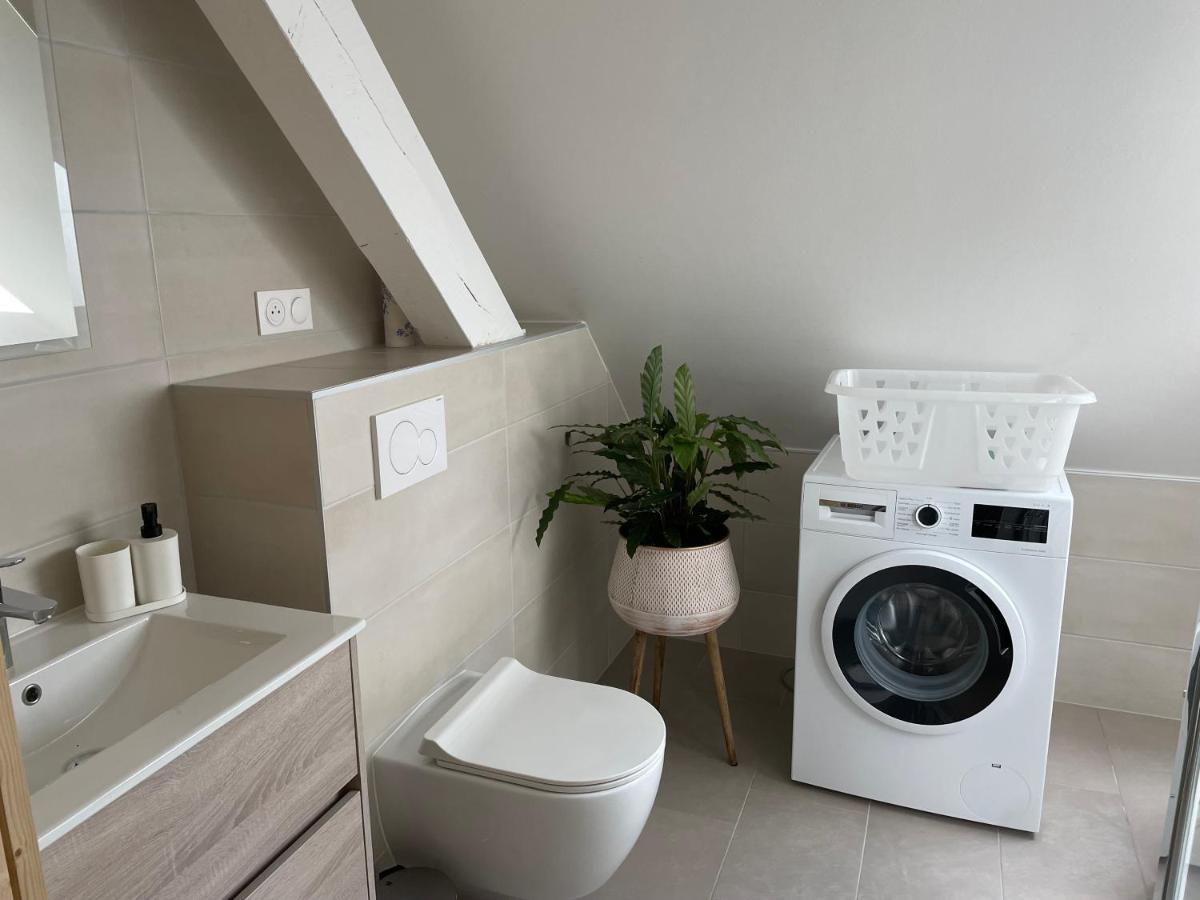 A L'Ombre Du Figuier Apartment Horbourg Ngoại thất bức ảnh